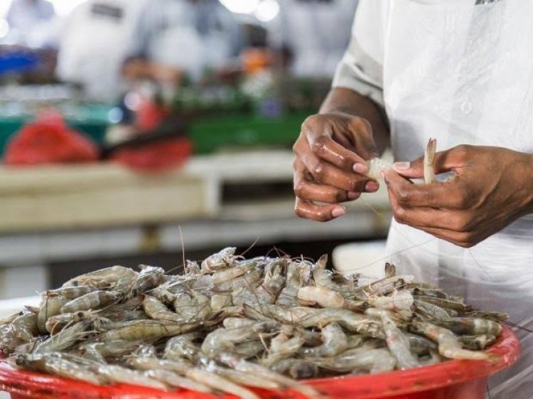 India exports 11,49,341 MT of seafood during 2020-21