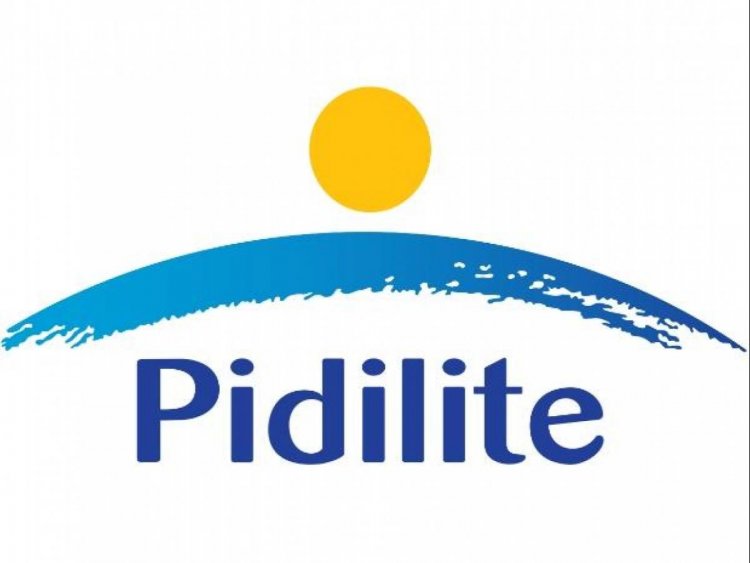 Sudhanshu Vats to join Pidilite as Deputy Managing Director.