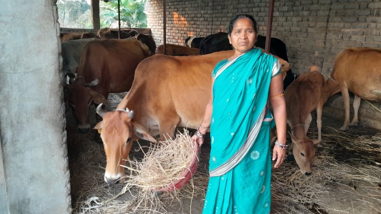 ACC’s Dairy Farming Program Elevates Women’s Economic Empowerment