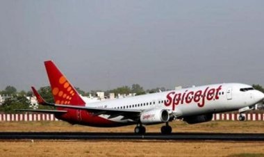 SpiceJet to offer up to 30