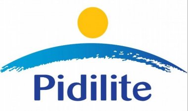 Sudhanshu Vats to join Pidilite as Deputy Managing Director.