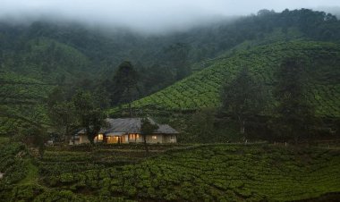 amã STAYS & TRAILS STEPS INTO MUNNAR WITH THE OPENING OF A COLLECTION OF SEVEN TEA ESTATE BUNGALOWS.