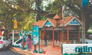 Milma reopens its stall in museum gardens.